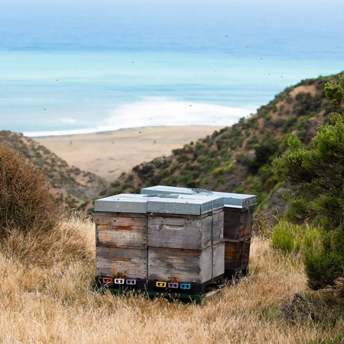 Ein Bienensock steht auf einem Berg und im Hintergrund ist der Strand und das Meer zu sehen