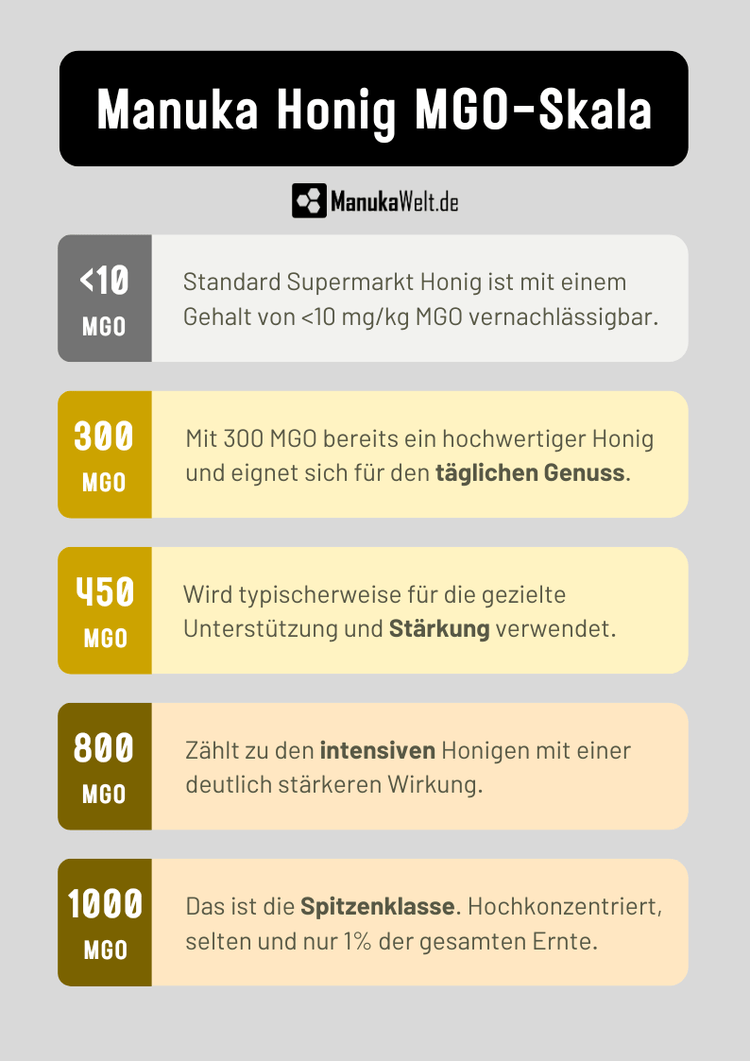 Manuka Honig Skala mit MGO 10, 300, 450, 800 und 1000. Vergleich der stärken in Hochformat für Mobil.