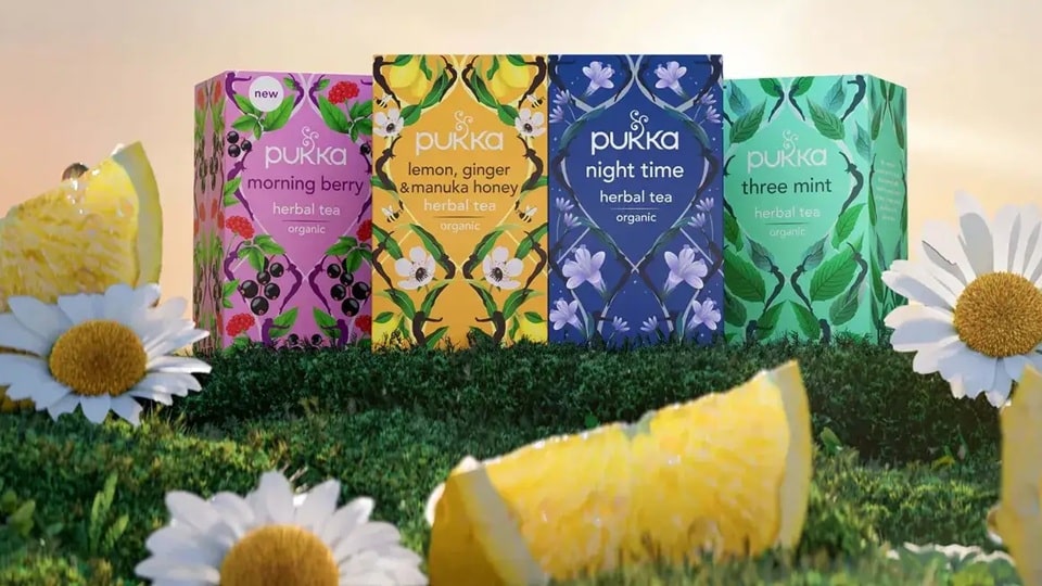 Pukka Teesortiment in der bunten Verpackung auf einer natürlichen Wiese