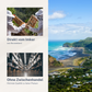 Bild von Neuseeland am Meer und Imkern