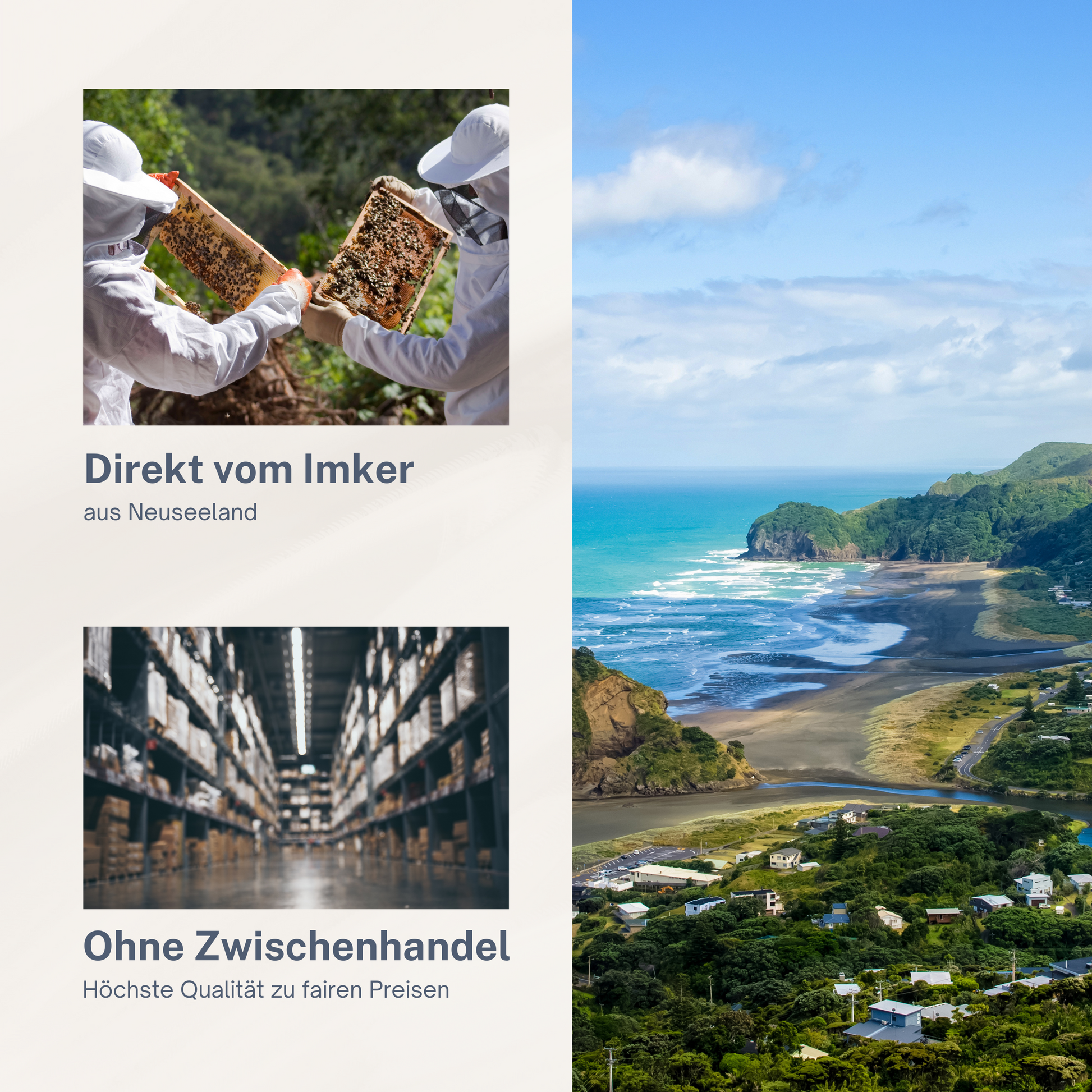 Bild von Neuseeland am Meer und Imkern